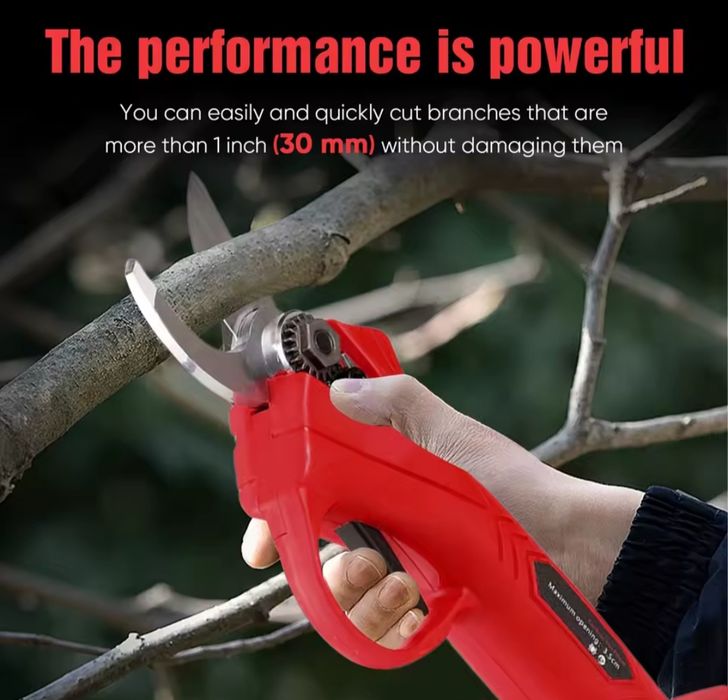 Tesouras de poda (2 baterias incluídas)