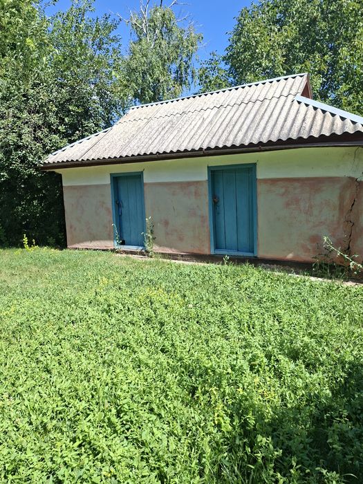 Продається будинок село Мошурів, Звенигородського району, Черкаська області.