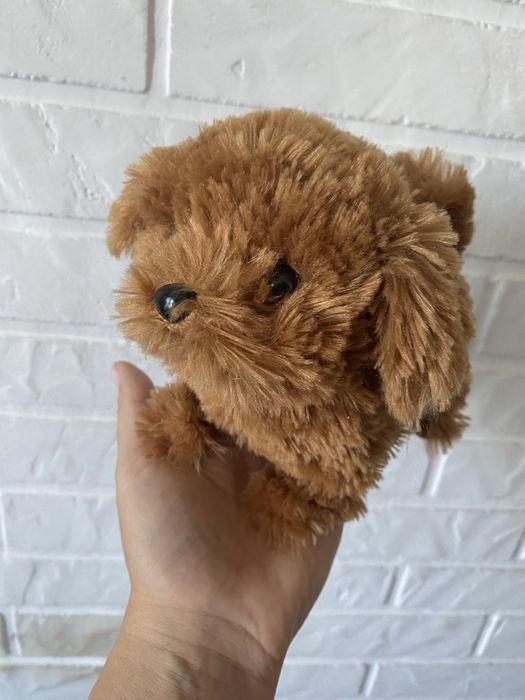 Гуляючий печик piter patrr Pets вінтажна
