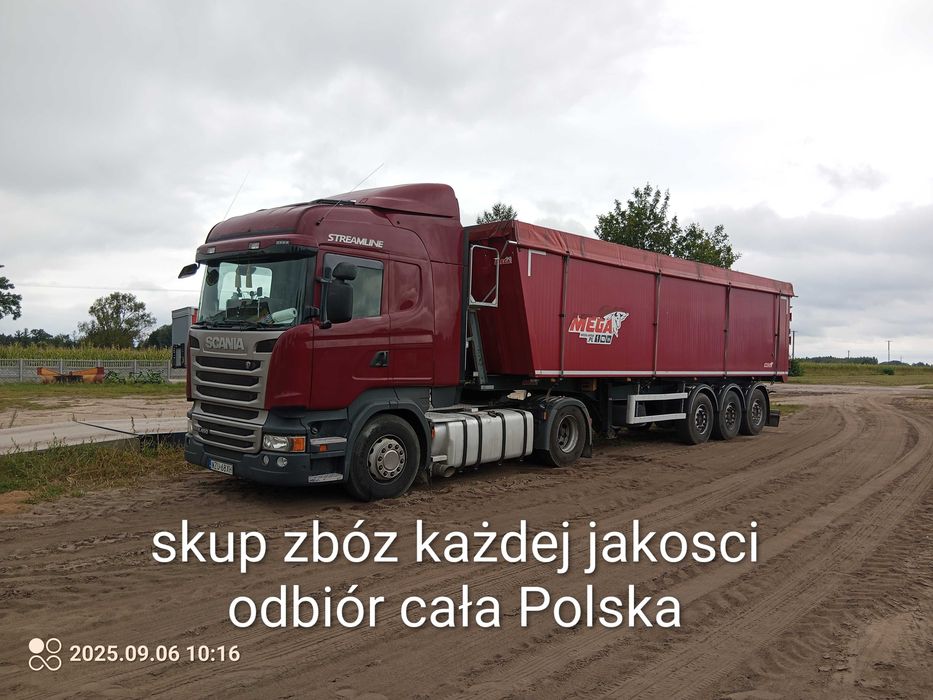 Zboze żyto jęczmień pszenica owies