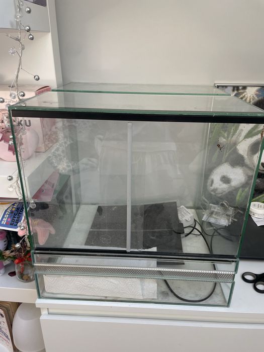 terarium dla zwierzaka