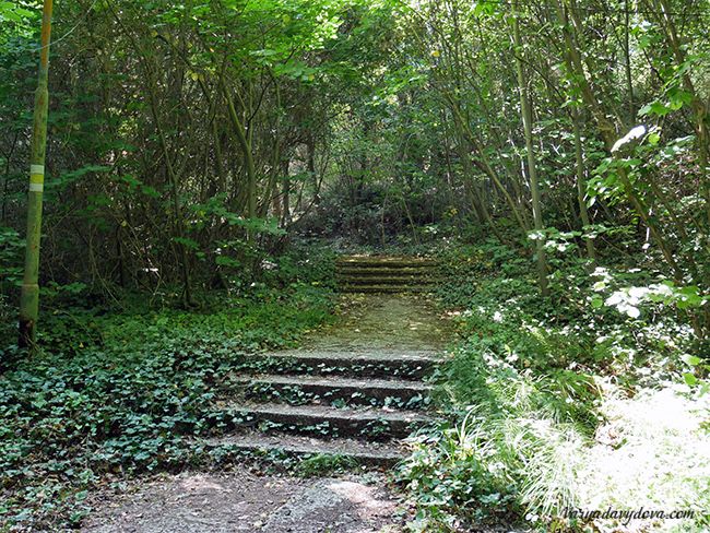 Сдам квартиру в Болгарии Золотые пески Варна