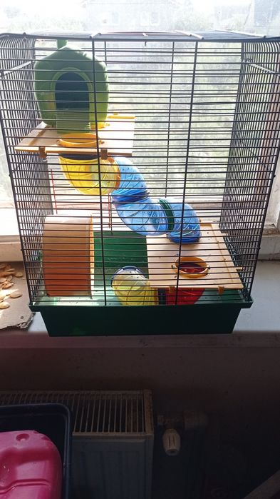 Домашні хомячки джунгарики Клітки