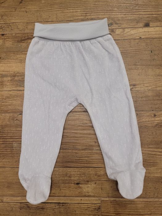 Półśpiochy szare lisek 9 - 12 m pajacyk