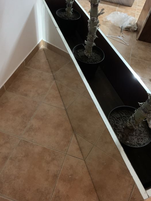 Vaso Floreira em espelho