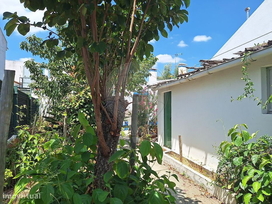 Moradia T2 à venda em São Martinho, Alcácer do Sal — foto 14