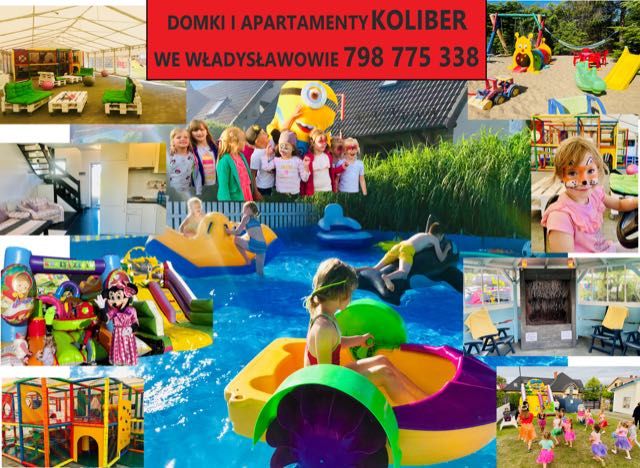 Domek na wynajem