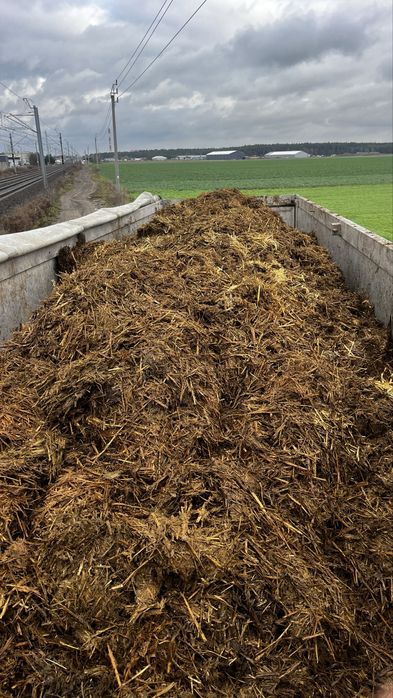 Obornik bydlecy, kurzy 60zł tona.