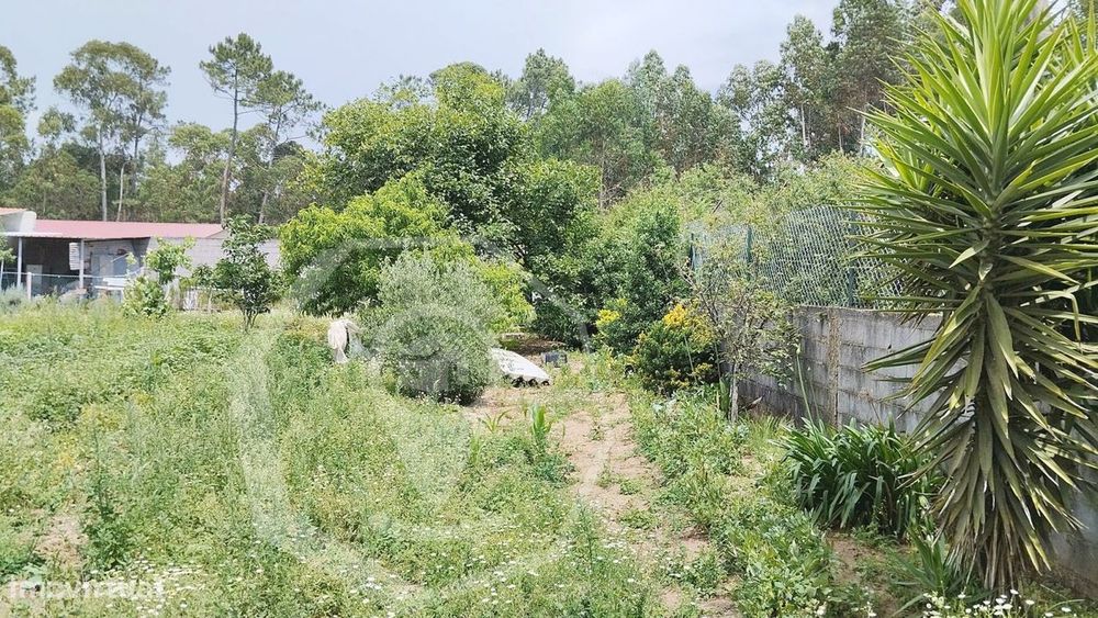 Terreno Urbano - Zona Sossegada !