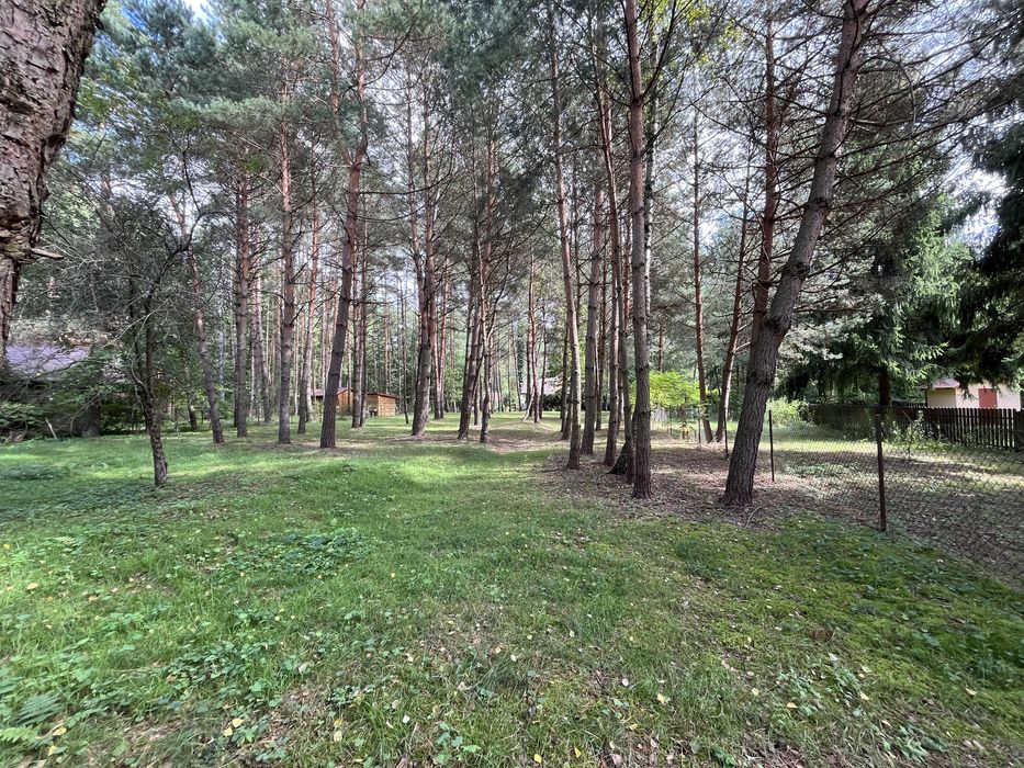 Radawa dzielnica Kudryki