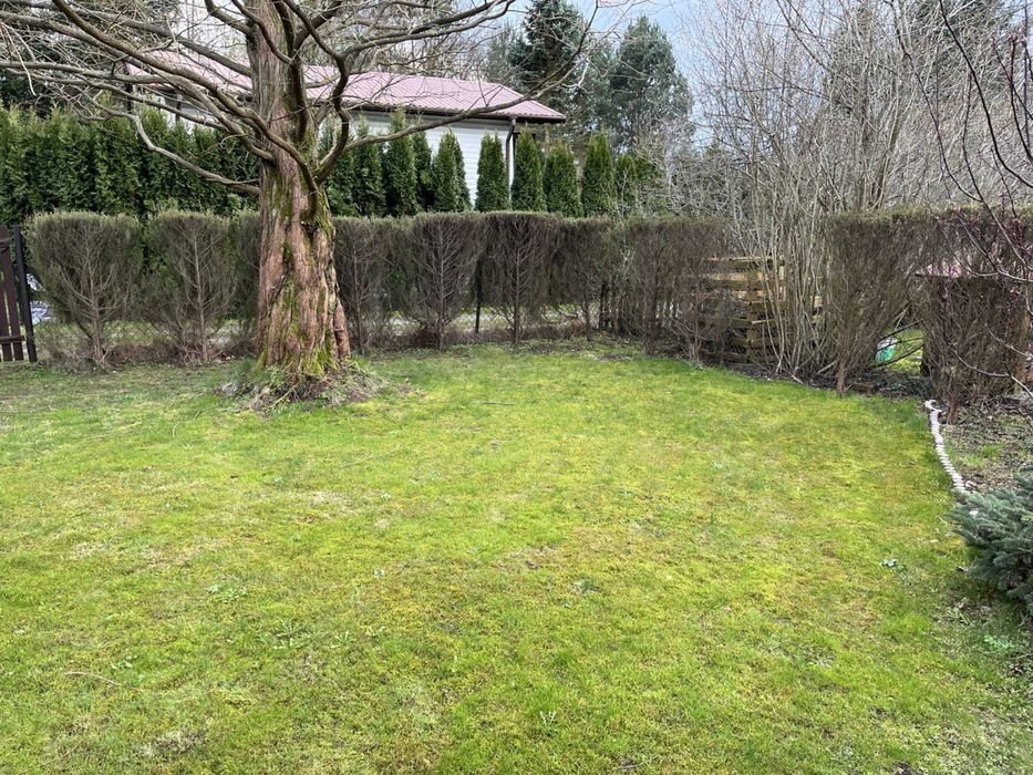 Działka ROD. Krępa Rosa. Chojnowski Park Krajobrazowy. Zalesie Górne.