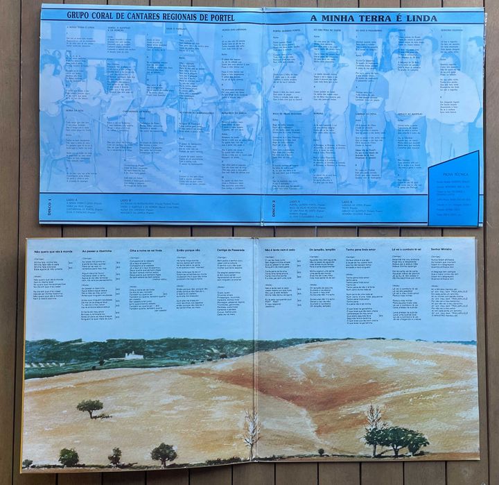 Vários discos de vinil música portuguesa