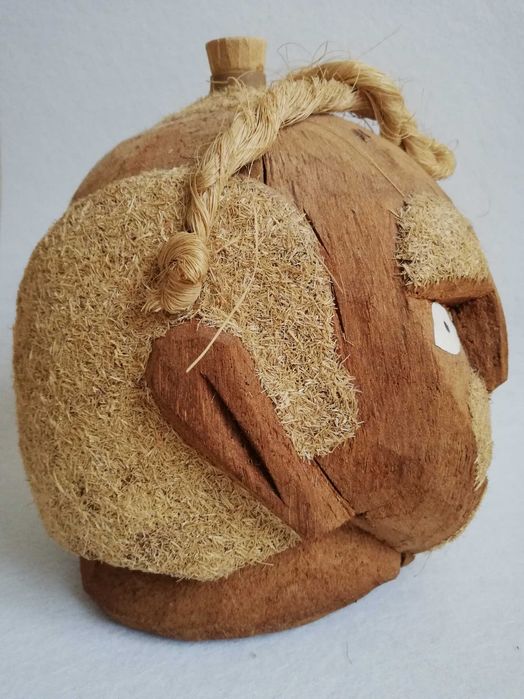 Garrafa em coco brasil