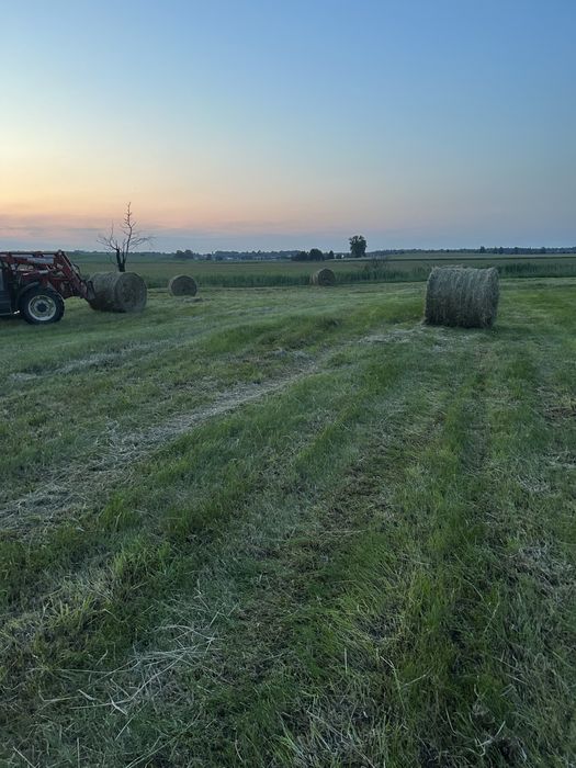 Siano i sianokiszonka