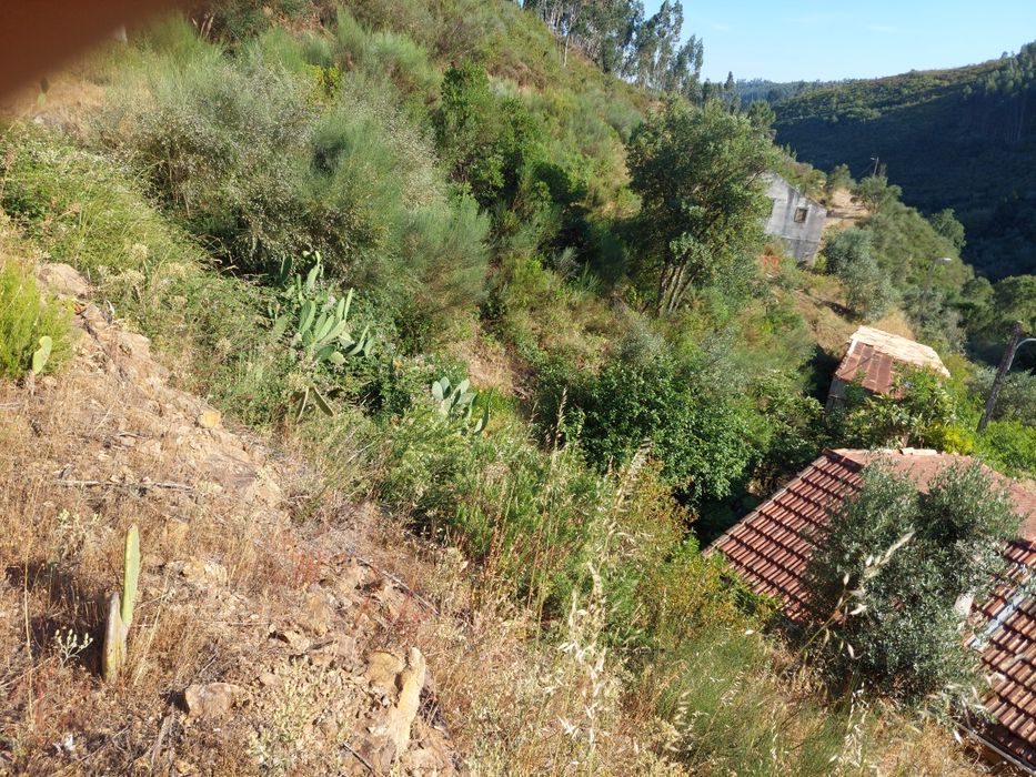 Rocagem de terrenos