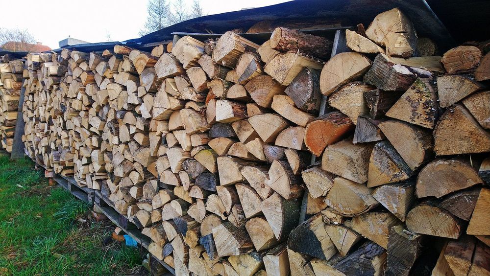 Drzewo sosna brzoza buk kominkowe sezonowane