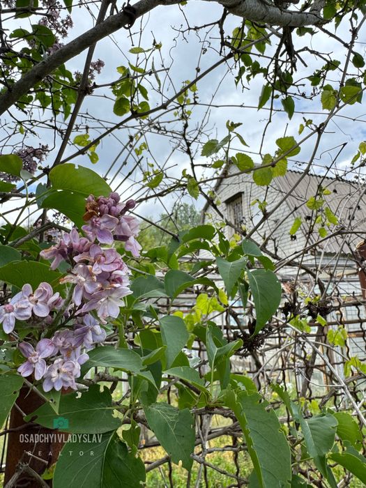 Дачка в лісі , біля води! ПРИВАТИЗОВАНА, Любимовка БЕЗ комісії