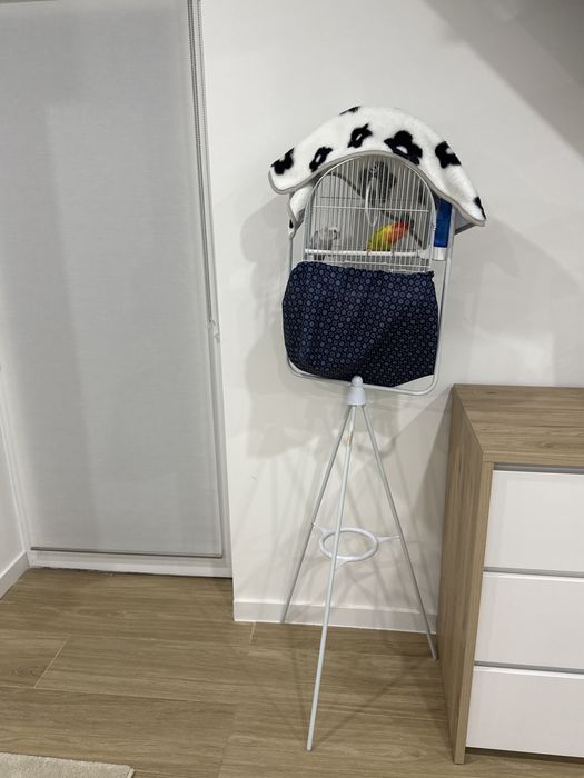 Gaiola passaros como nova