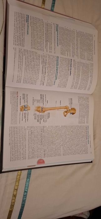 Livro de Anatomia