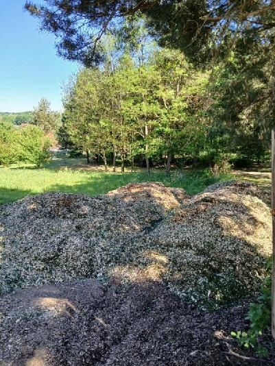 Zrębka liściasta z liściem 100L worek