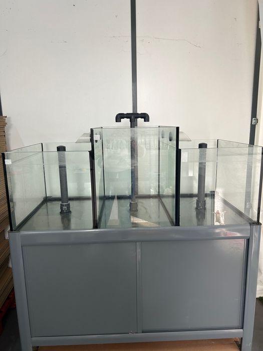 Aquário de Ilha cinza