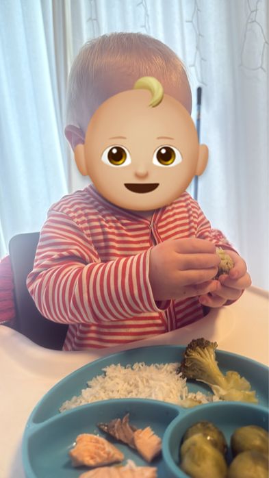 Ama/Babysitter  Premium Coimbra