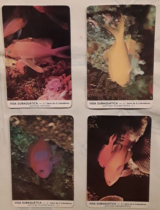 Calendários de bolso 1987 - Tema: Vida Subaquática