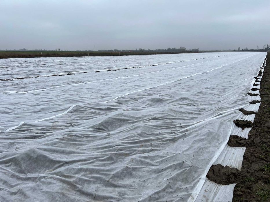 POLSKA MOCNA Agrowłóknina 4,25 x 100 włóknina P23 różne szerokości