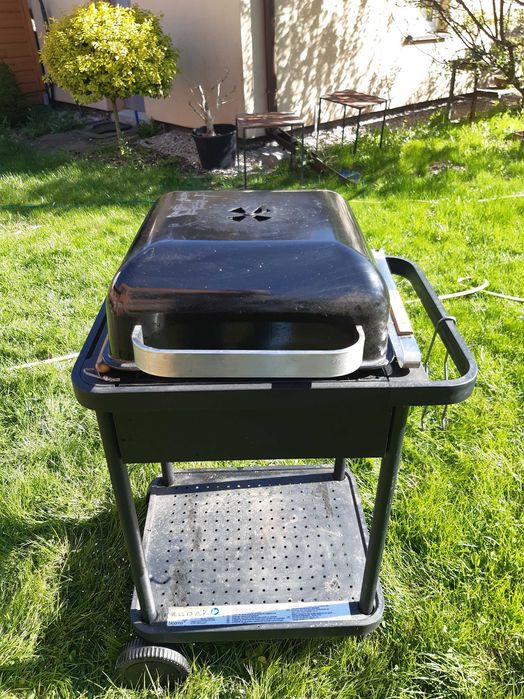 Grill węglowy - blooma