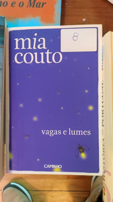 Vagas e likes Mia Couto