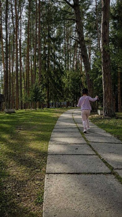 База відпочинку у сосновому лісі 50км від Львова