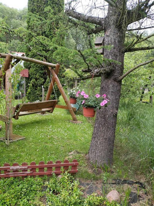 Sprzedam działkę ROD w Kwidzynie „Leśna Dolina”