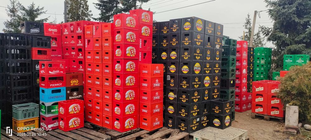 Skrzynki po piwie , skup/sprzedaż