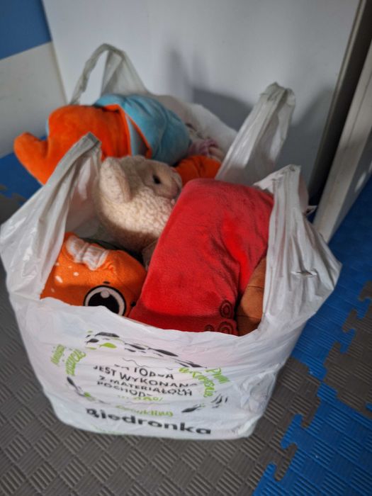 Pluszaki oddam Poznań