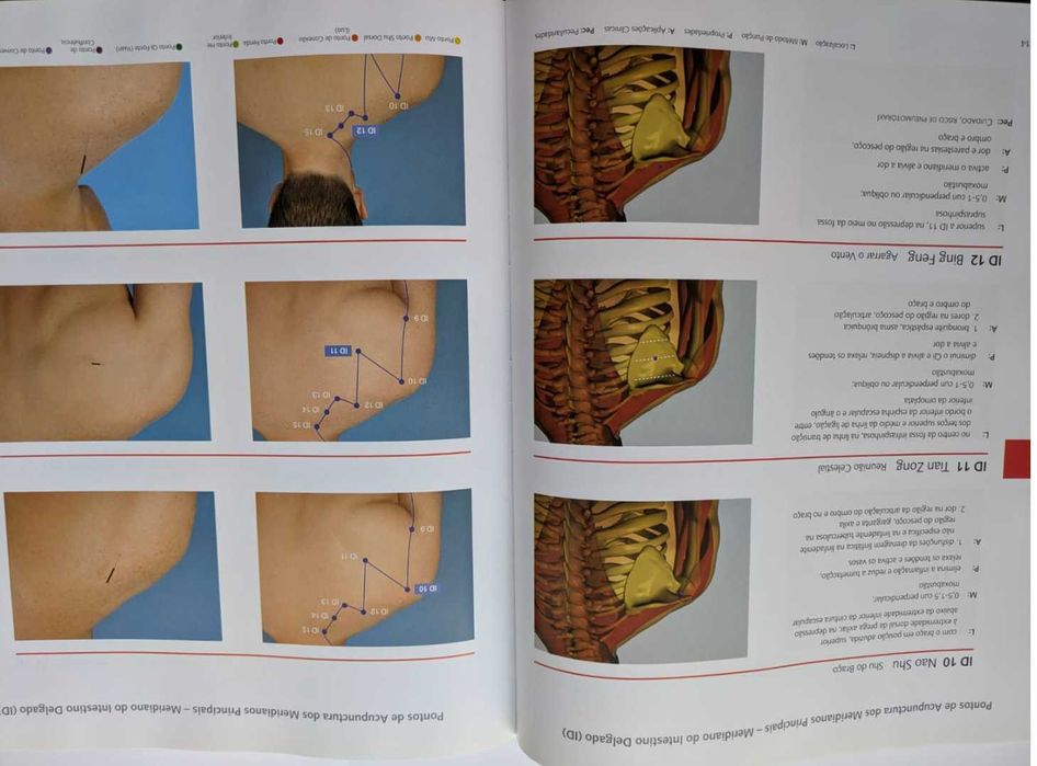Atlas Gráfico de Acupuntura- ilustrado