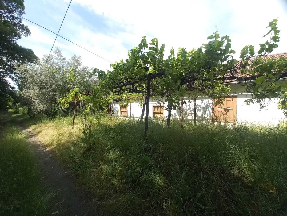 Casa antiga  geminada em plenas minas tuela