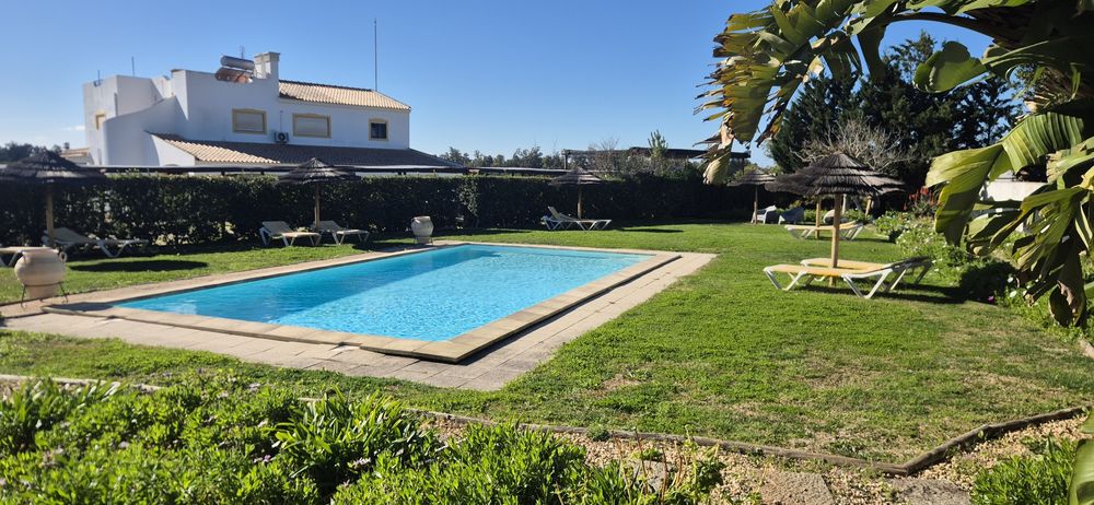 Alugo T1 zona Penina