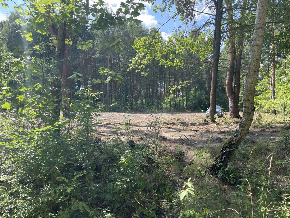Działka budowlana 1786 m² | Ruda k. Tarczyna | MPZP | 25 min od Warszawy