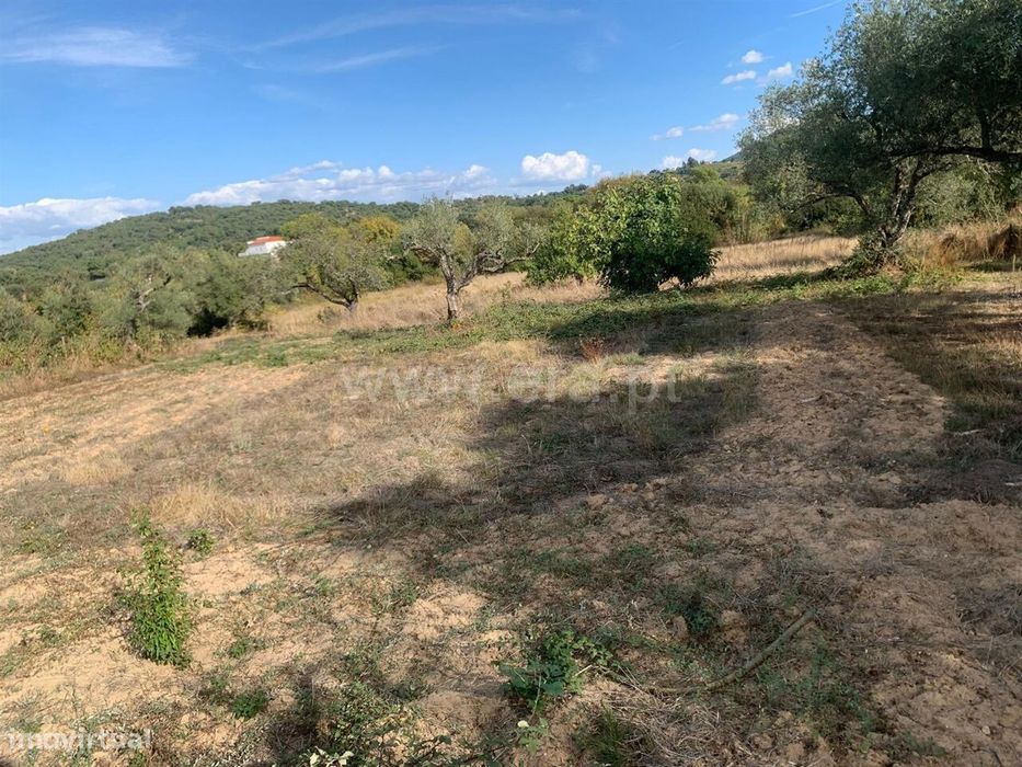 Terreno com ruina / Fundão, Freixial