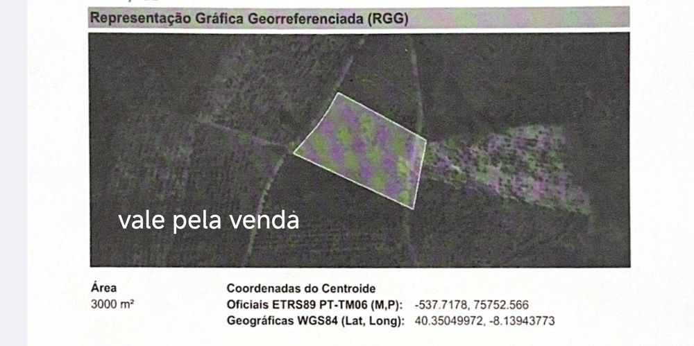 Terrenos  Santa Comba Dão