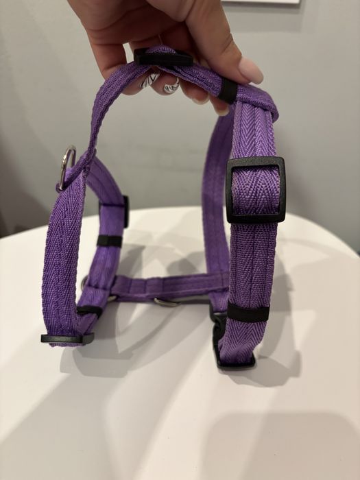 Шлея для собаки