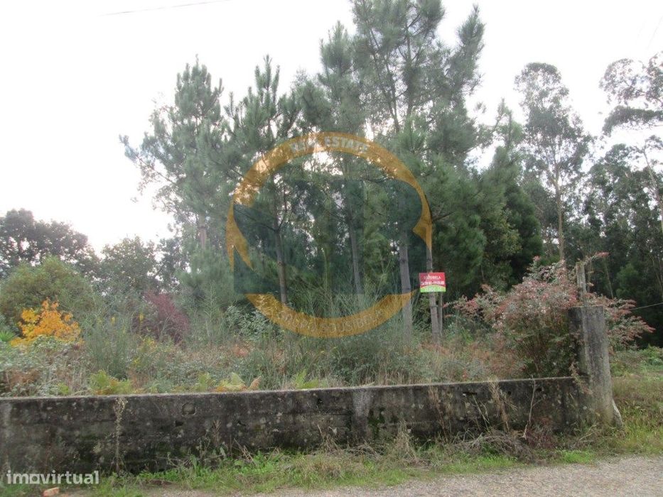 Terreno Construção Souto