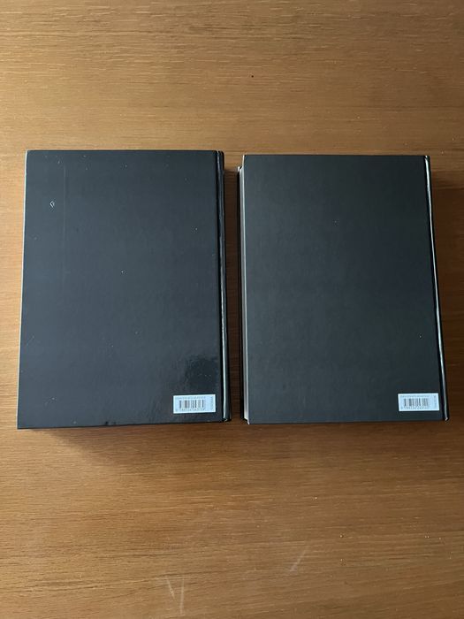 História da Arte Portuguesa no Mundo