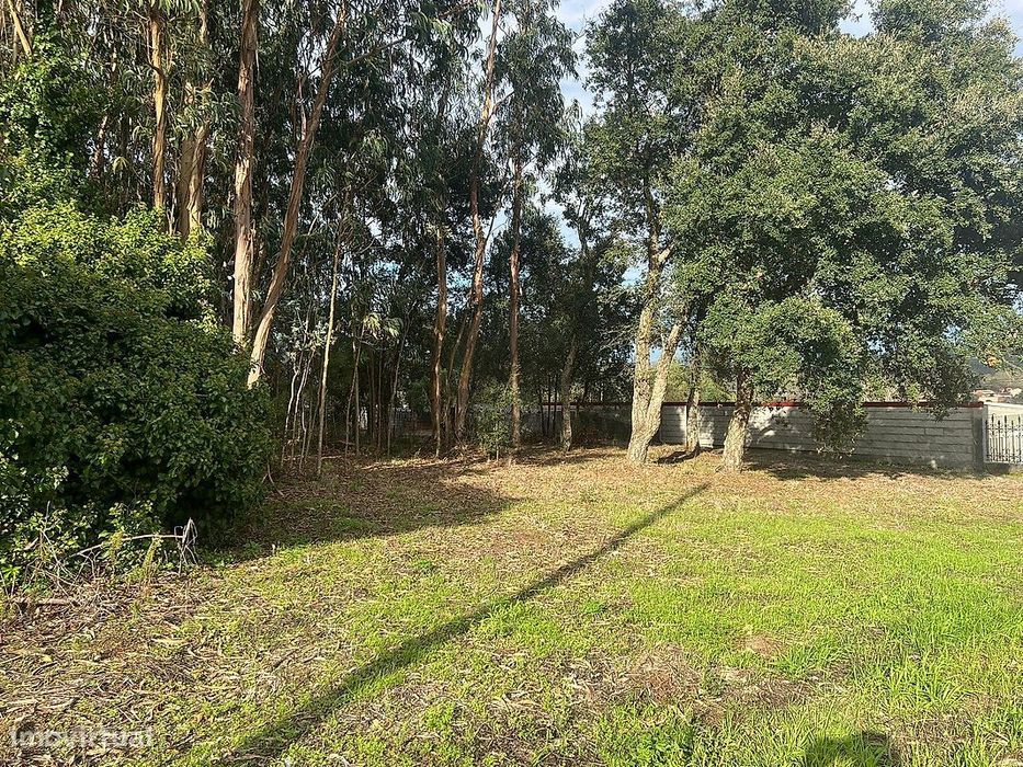 Terreno  para venda