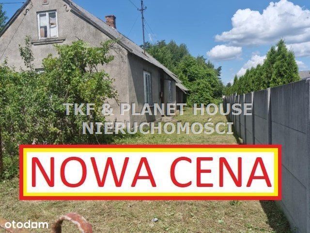 Dom z działką 1,95 ha Domaszno/Drzewica