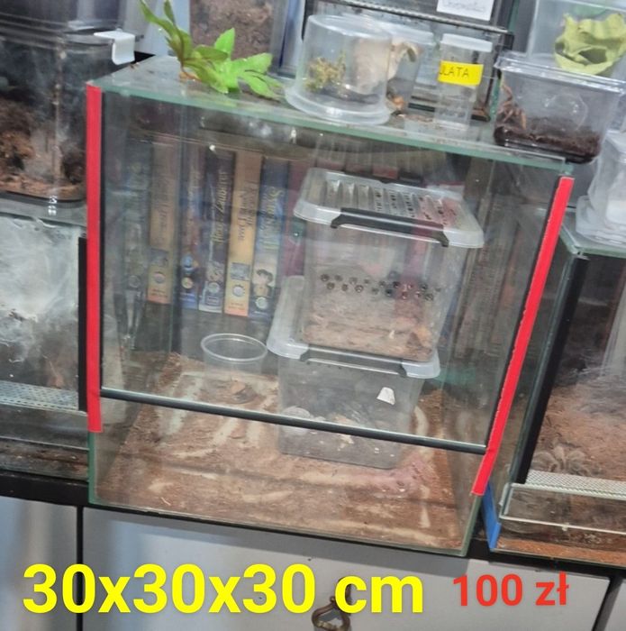 Terraria rozne wymiary.