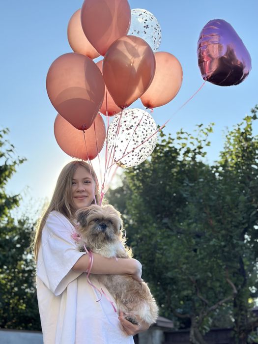 Ши-тцу вязка