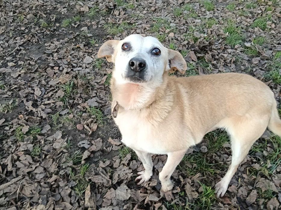 Kawa czeka na dom...