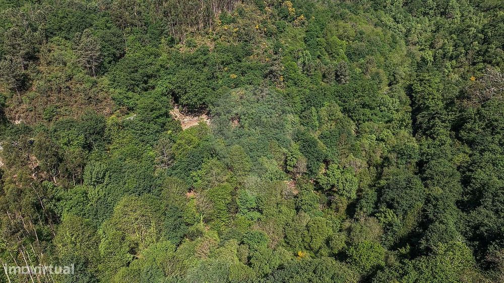 Terreno  para venda