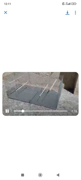 Viveiros grande dimensões